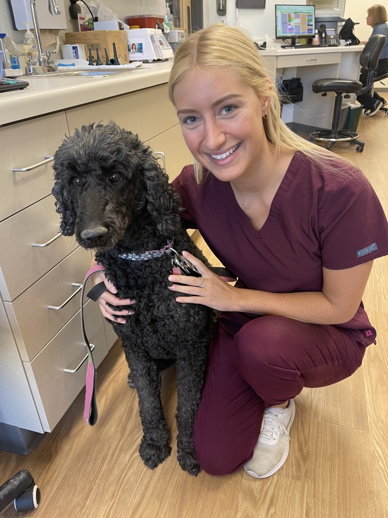 Brenna, Veterinary Assistant